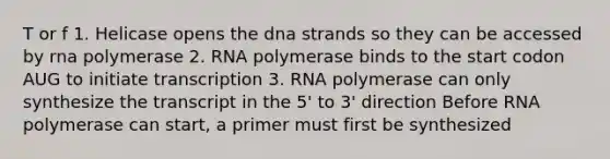 T or f 1. Helicase opens the dna strands so they can be accessed by rna polymerase 2. RNA polymerase binds to the start codon AUG to initiate transcription 3. RNA polymerase can only synthesize the transcript in the 5' to 3' direction Before RNA polymerase can start, a primer must first be synthesized