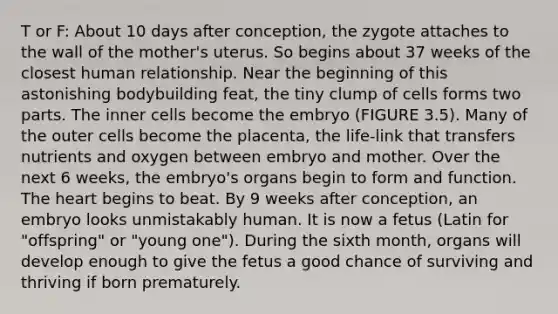 T or F: About 10 days after conception, the zygote attaches to the wall of the mother's uterus. So begins about 37 weeks of the closest human relationship. Near the beginning of this astonishing bodybuilding feat, the tiny clump of cells forms two parts. The inner cells become the embryo (FIGURE 3.5). Many of the outer cells become the placenta, the life-link that transfers nutrients and oxygen between embryo and mother. Over the next 6 weeks, the embryo's organs begin to form and function. The heart begins to beat. By 9 weeks after conception, an embryo looks unmistakably human. It is now a fetus (Latin for "offspring" or "young one"). During the sixth month, organs will develop enough to give the fetus a good chance of surviving and thriving if born prematurely.