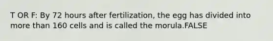 T OR F: By 72 hours after fertilization, the egg has divided into more than 160 cells and is called the morula.FALSE