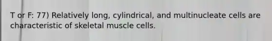 T or F: 77) Relatively long, cylindrical, and multinucleate cells are characteristic of skeletal muscle cells.