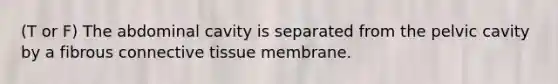 (T or F) The abdominal cavity is separated from the pelvic cavity by a fibrous connective tissue membrane.