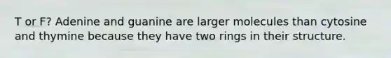 T or F? Adenine and guanine are larger molecules than cytosine and thymine because they have two rings in their structure.