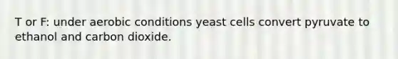 T or F: under aerobic conditions yeast cells convert pyruvate to ethanol and carbon dioxide.