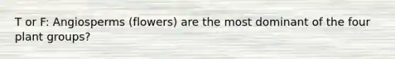 T or F: Angiosperms (flowers) are the most dominant of the four plant groups?