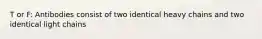 T or F: Antibodies consist of two identical heavy chains and two identical light chains