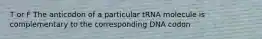 T or F The anticodon of a particular tRNA molecule is complementary to the corresponding DNA codon