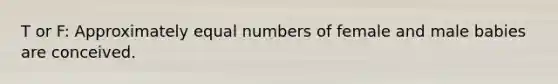 T or F: Approximately equal numbers of female and male babies are conceived.