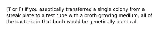 (T or F) If you aseptically transferred a single colony from a streak plate to a test tube with a broth-growing medium, all of the bacteria in that broth would be genetically identical.