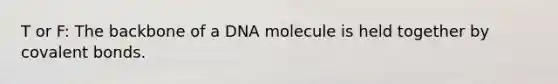 T or F: The backbone of a DNA molecule is held together by covalent bonds.