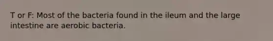 T or F: Most of the bacteria found in the ileum and the large intestine are aerobic bacteria.