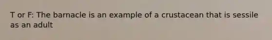 T or F: The barnacle is an example of a crustacean that is sessile as an adult