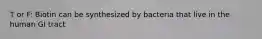 T or F: Biotin can be synthesized by bacteria that live in the human GI tract