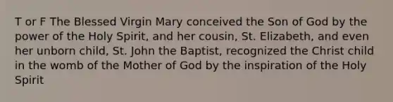 T or F The Blessed Virgin Mary conceived the Son of God by the power of the Holy Spirit, and her cousin, St. Elizabeth, and even her unborn child, St. John the Baptist, recognized the Christ child in the womb of the Mother of God by the inspiration of the Holy Spirit