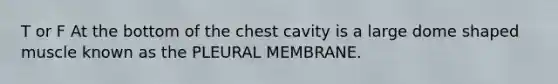 T or F At the bottom of the chest cavity is a large dome shaped muscle known as the PLEURAL MEMBRANE.