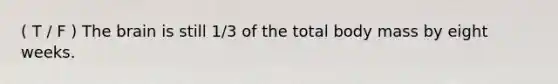 ( T / F ) The brain is still 1/3 of the total body mass by eight weeks.