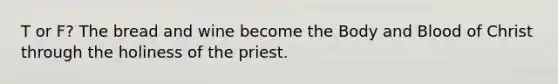 T or F? The bread and wine become the Body and Blood of Christ through the holiness of the priest.