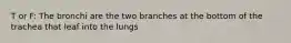 T or F: The bronchi are the two branches at the bottom of the trachea that leaf into the lungs