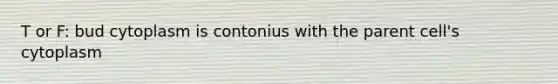 T or F: bud cytoplasm is contonius with the parent cell's cytoplasm