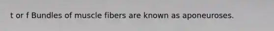 t or f Bundles of muscle fibers are known as aponeuroses.