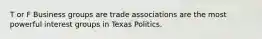 T or F Business groups are trade associations are the most powerful interest groups in Texas Politics.