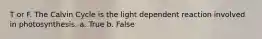 T or F. The Calvin Cycle is the light dependent reaction involved in photosynthesis. a. True b. False