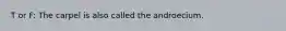 T or F: The carpel is also called the androecium.