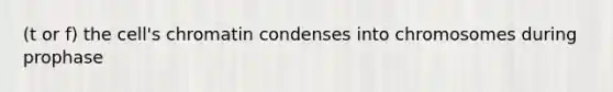 (t or f) the cell's chromatin condenses into chromosomes during prophase