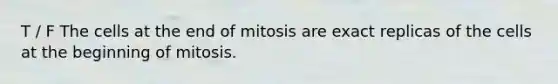 T / F The cells at the end of mitosis are exact replicas of the cells at the beginning of mitosis.