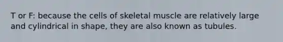 T or F: because the cells of skeletal muscle are relatively large and cylindrical in shape, they are also known as tubules.