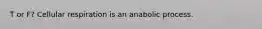 T or F? Cellular respiration is an anabolic process.