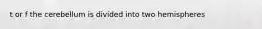 t or f the cerebellum is divided into two hemispheres