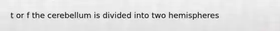 t or f the cerebellum is divided into two hemispheres