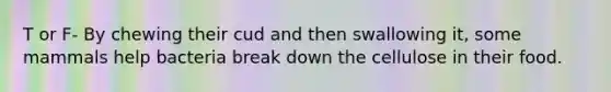 T or F- By chewing their cud and then swallowing it, some mammals help bacteria break down the cellulose in their food.