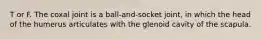 T or F. The coxal joint is a ball-and-socket joint, in which the head of the humerus articulates with the glenoid cavity of the scapula.
