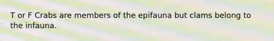 T or F Crabs are members of the epifauna but clams belong to the infauna.