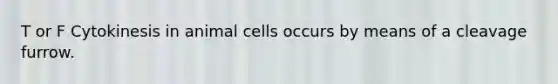 T or F Cytokinesis in animal cells occurs by means of a cleavage furrow.