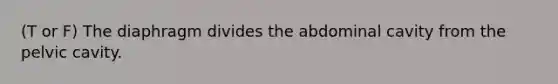 (T or F) The diaphragm divides the abdominal cavity from the pelvic cavity.