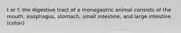 t or f: the digestive tract of a monogastric animal consists of the mouth, esophagus, stomach, small intestine, and large intestine (colon)