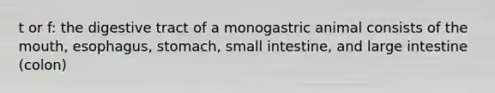 t or f: the digestive tract of a monogastric animal consists of the mouth, esophagus, stomach, small intestine, and large intestine (colon)