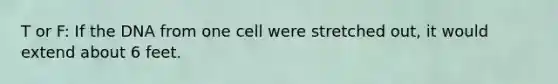 T or F: If the DNA from one cell were stretched out, it would extend about 6 feet.