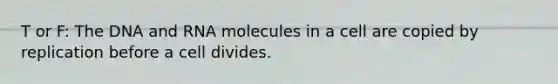 T or F: The DNA and RNA molecules in a cell are copied by replication before a cell divides.