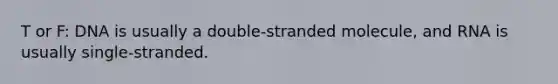 T or F: DNA is usually a double-stranded molecule, and RNA is usually single-stranded.