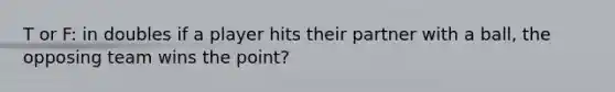 T or F: in doubles if a player hits their partner with a ball, the opposing team wins the point?