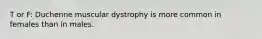 T or F: Duchenne muscular dystrophy is more common in females than in males.