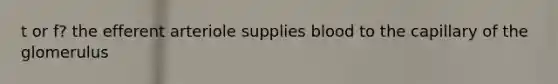 t or f? the efferent arteriole supplies blood to the capillary of the glomerulus