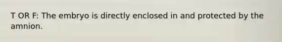 T OR F: The embryo is directly enclosed in and protected by the amnion.
