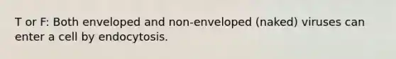 T or F: Both enveloped and non-enveloped (naked) viruses can enter a cell by endocytosis.