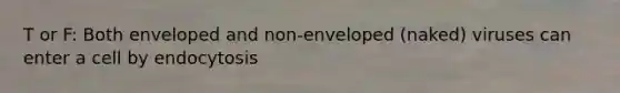 T or F: Both enveloped and non-enveloped (naked) viruses can enter a cell by endocytosis