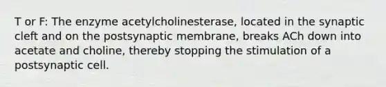 T or F: The enzyme acetylcholinesterase, located in the synaptic cleft and on the postsynaptic membrane, breaks ACh down into acetate and choline, thereby stopping the stimulation of a postsynaptic cell.