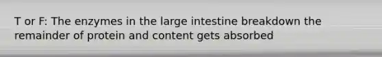 T or F: The enzymes in the large intestine breakdown the remainder of protein and content gets absorbed